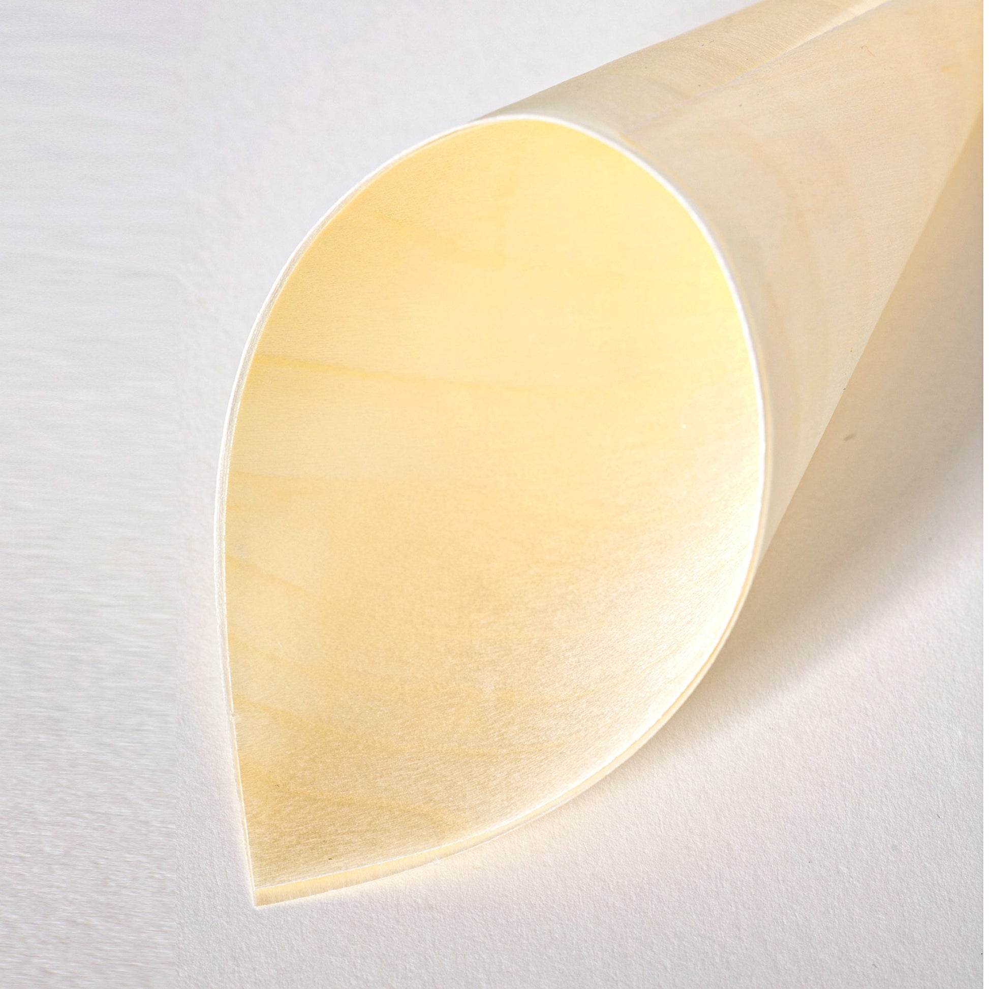 [1,000ct] 3" Disposable Wooden Cone | Brown - Biocean by Danube BlueBiocean