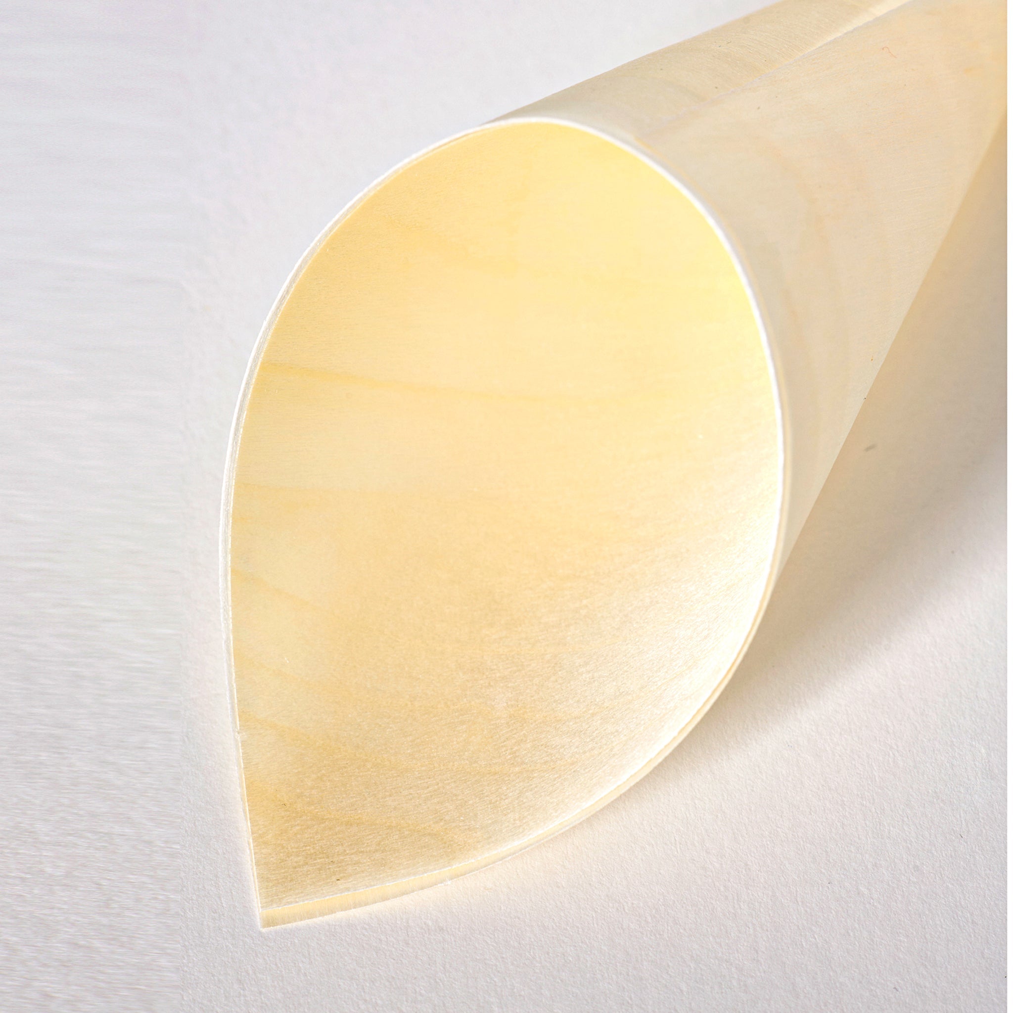 [1,000ct] 3" Disposable Wooden Cone | Brown - Biocean by Danube BlueBiocean
