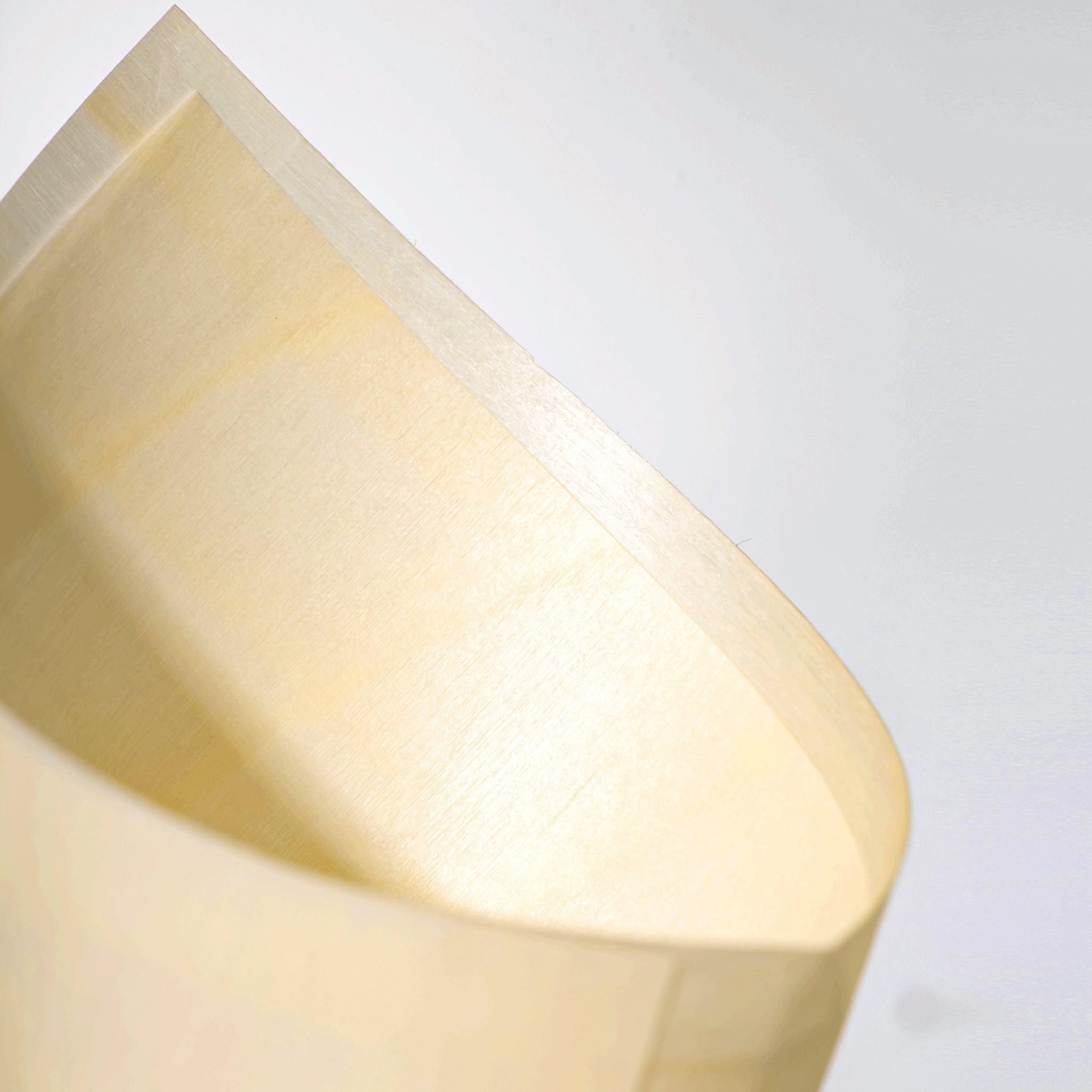 [1,000ct] 8" Disposable Wooden Cone | Brown - Biocean by Danube BlueBiocean