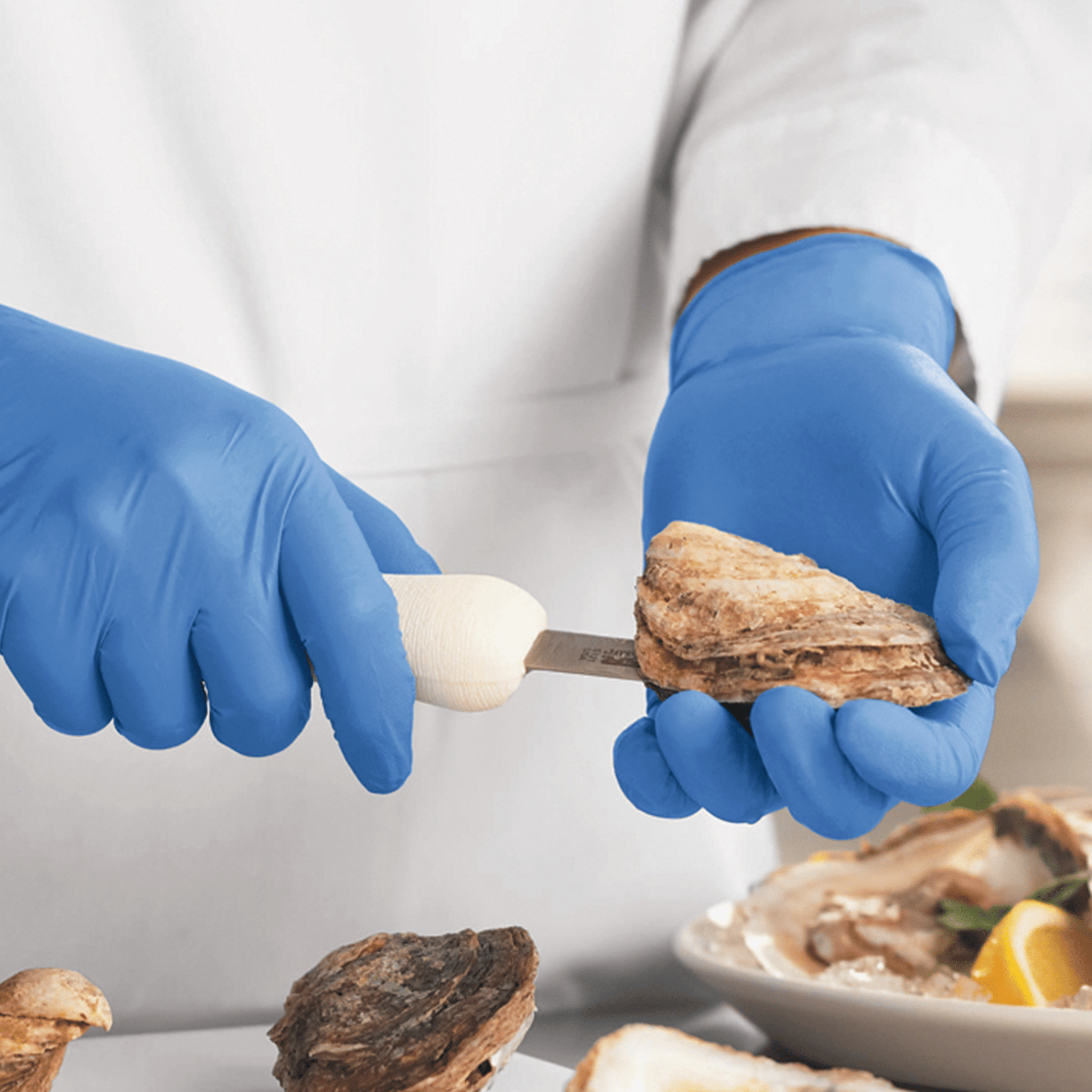 [1,000ct] Powder - Free Nitrile Gloves | X - Large | Blue - Biocean by Danube BlueBiocean
