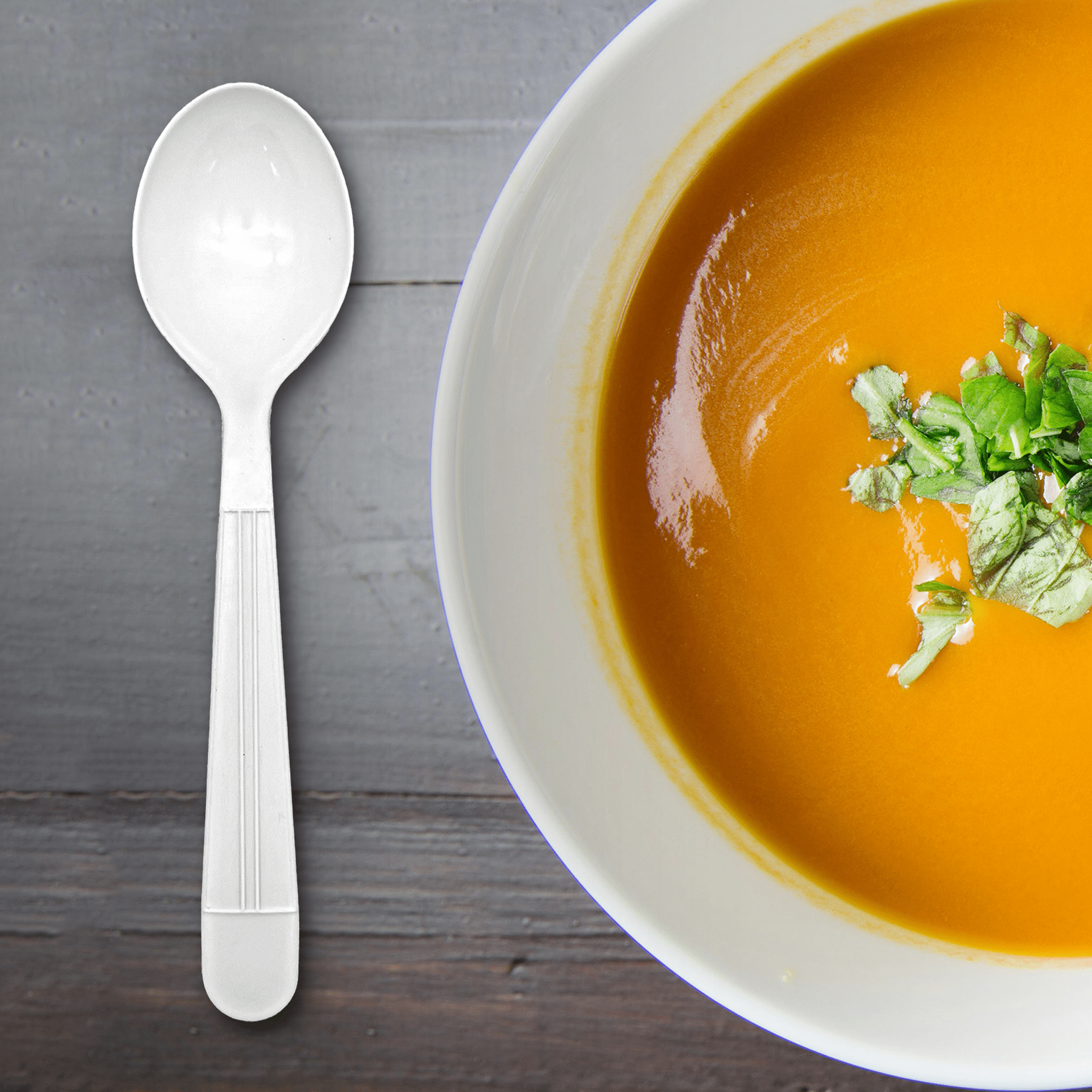 [1,000ct] PP Plastic Heavy Weight Soup Spoons | White - Biocean by Danube BlueBiocean