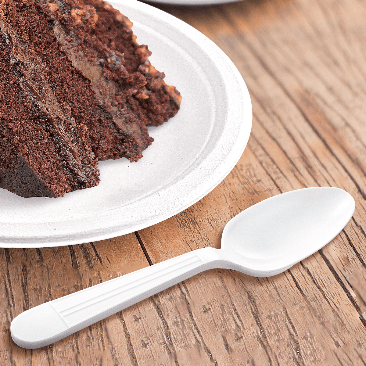 [1,000ct] PP Plastic Heavy Weight Tea Spoons | White - Biocean by Danube BlueBiocean