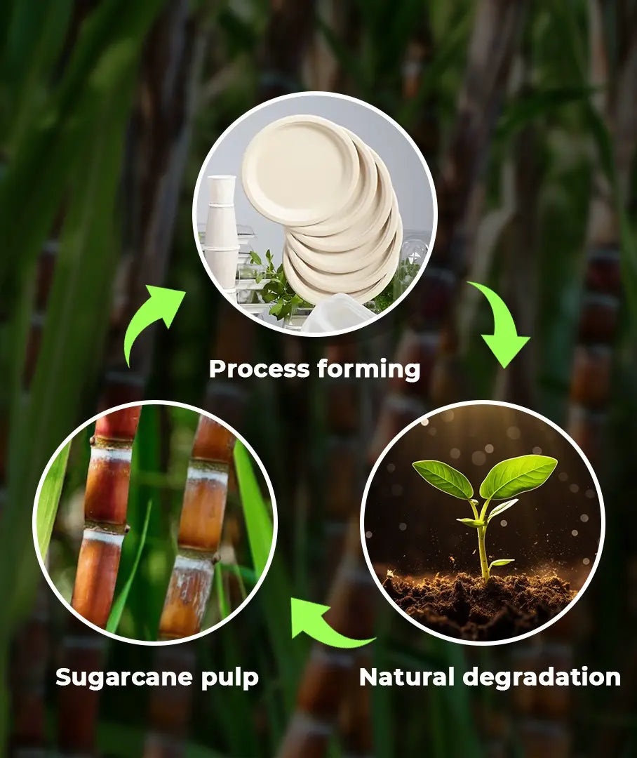 Natural Compostable  Bagasse 10-Inch Round Plates - 500/Case