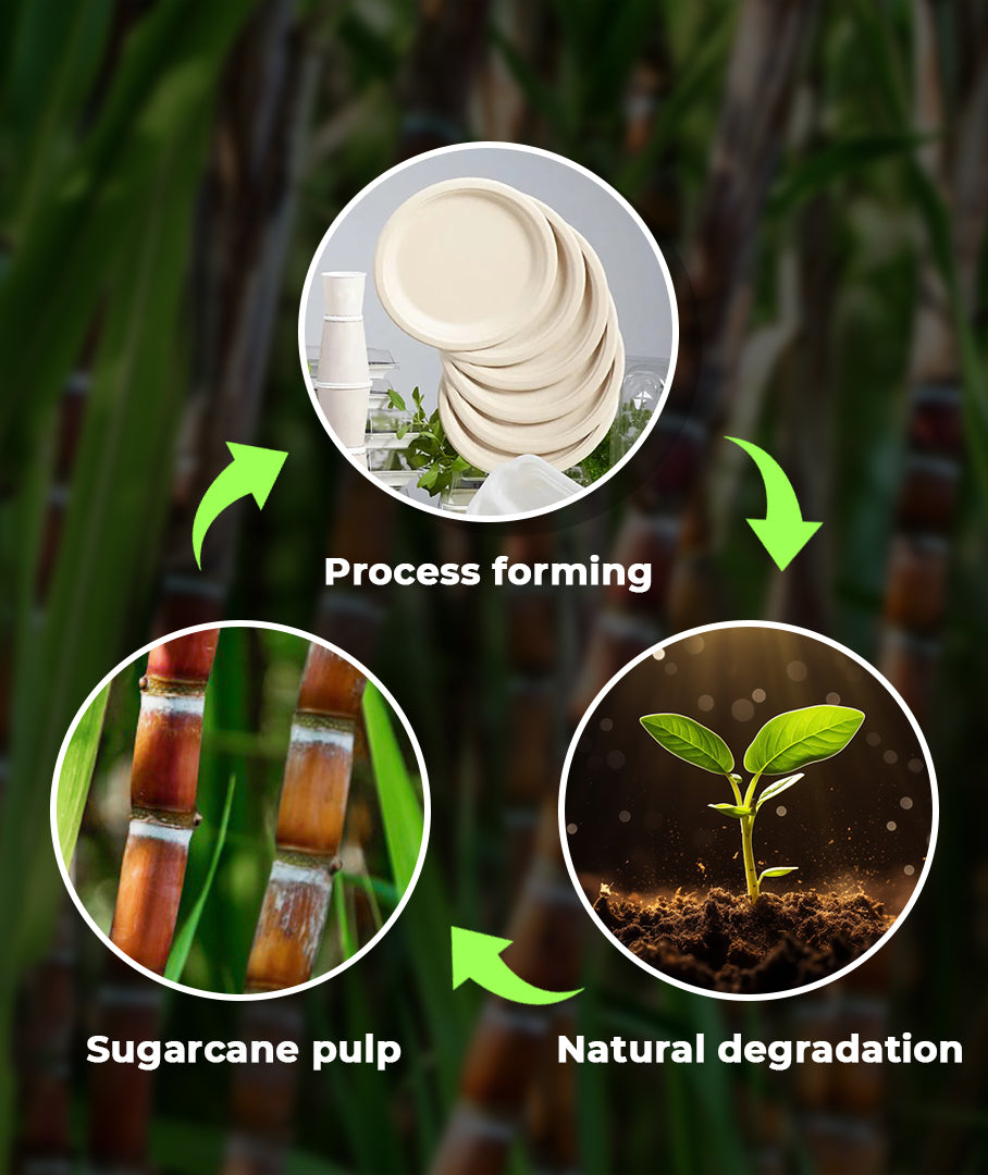 [500ct] Danube Blue 10" Compostable  Bagasse Plates | Round | White