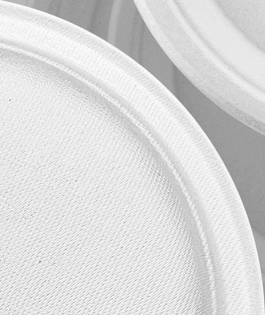 [500ct] Danube Blue 10" Compostable  Bagasse Plates | Round | White