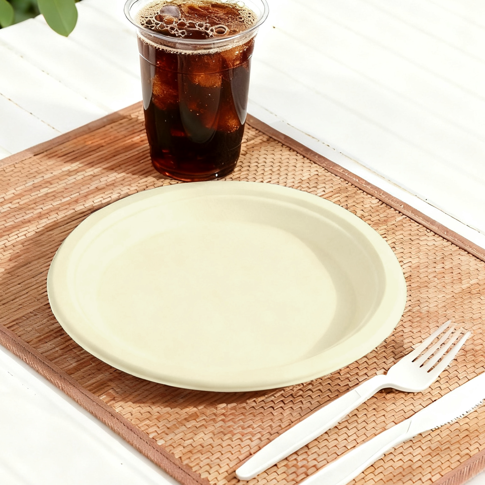Natural  Compostable  Bagasse 9-Inch Round Plates - 500/Case