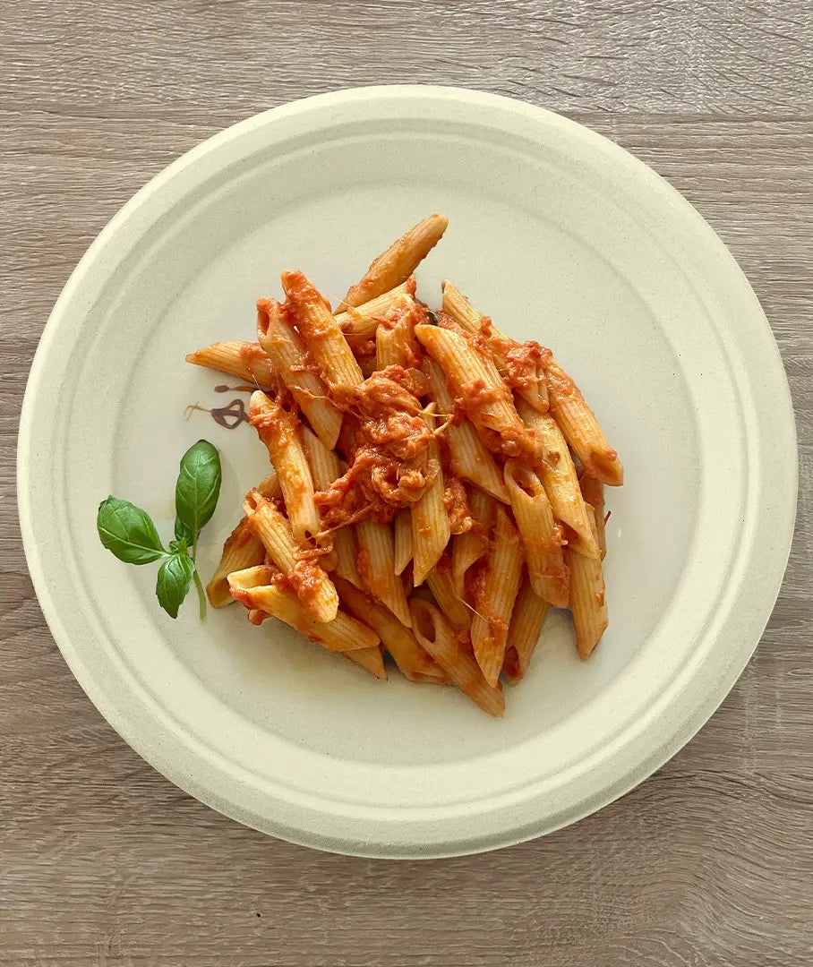 Natural Compostable  Bagasse 10-Inch Round Plates - 500/Case