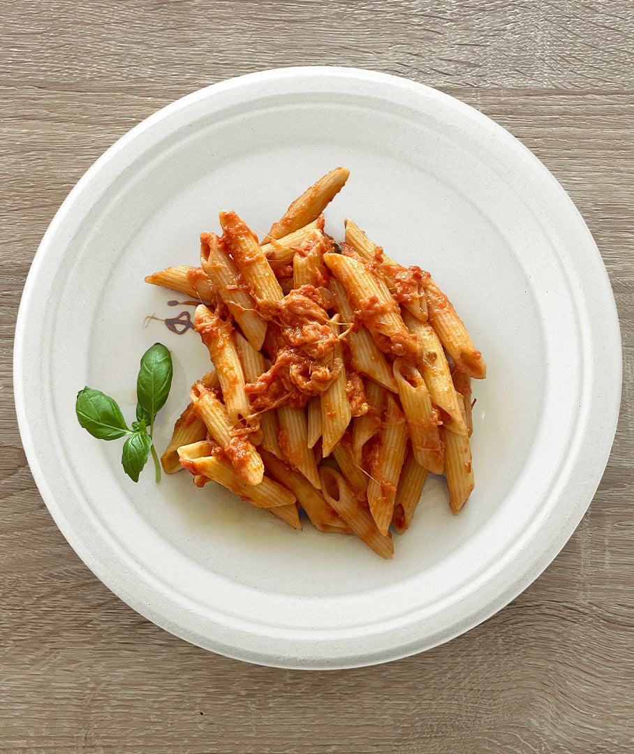 [500ct] Danube Blue 10" Compostable  Bagasse Plates | Round | White