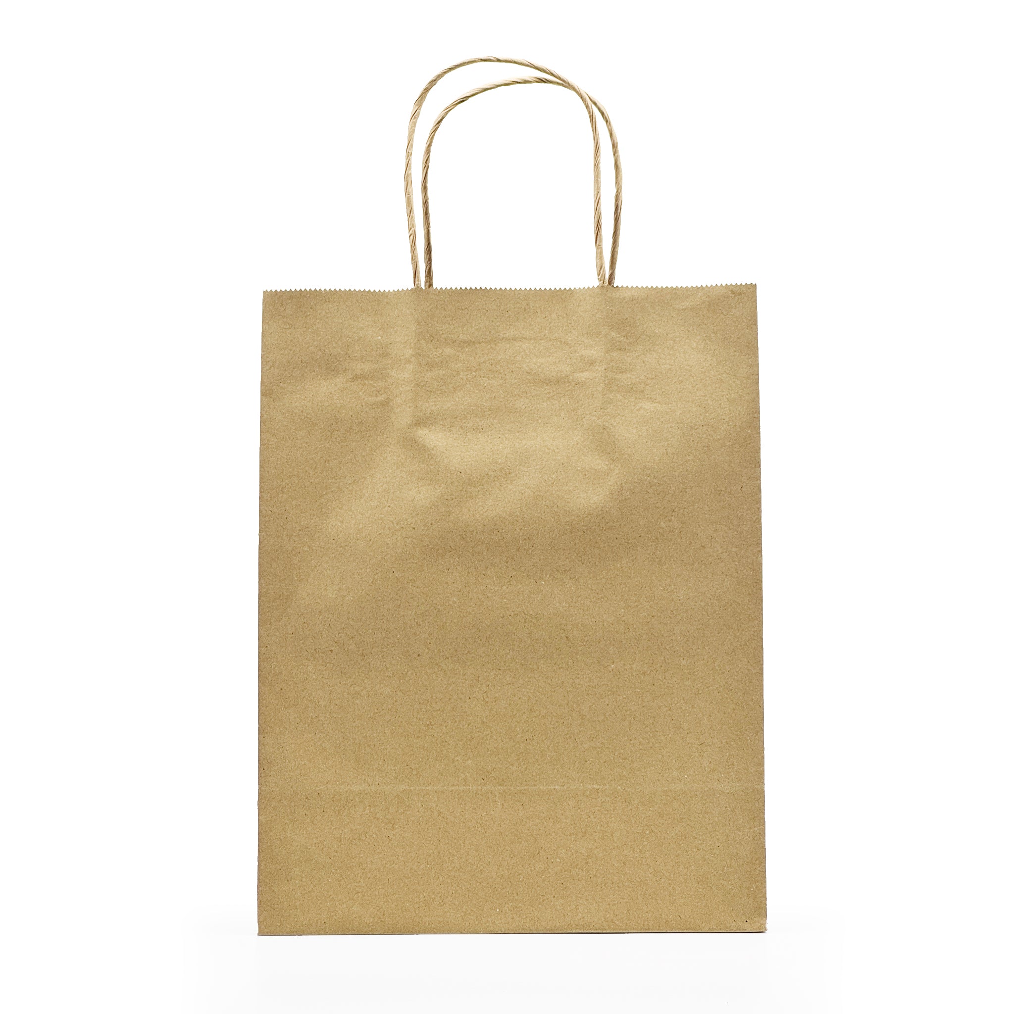 [250ct] 8" x 10"  x 4.5" Kraft Paper Shopping Bags with Handles | Natural