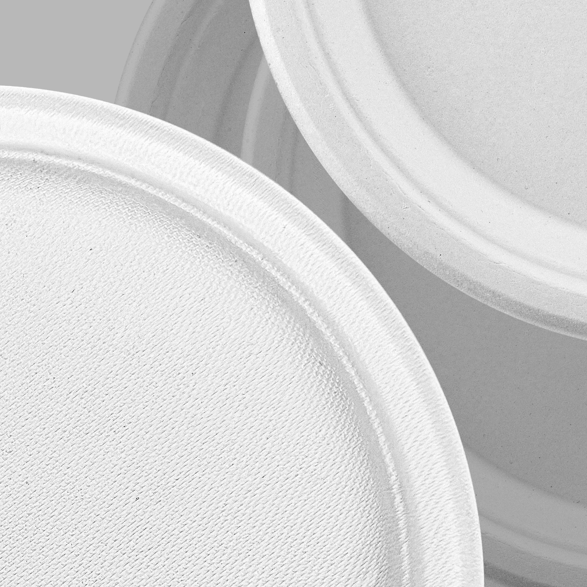 White Compostable Bagasse 6-Inch Round Plates - 1000/Case