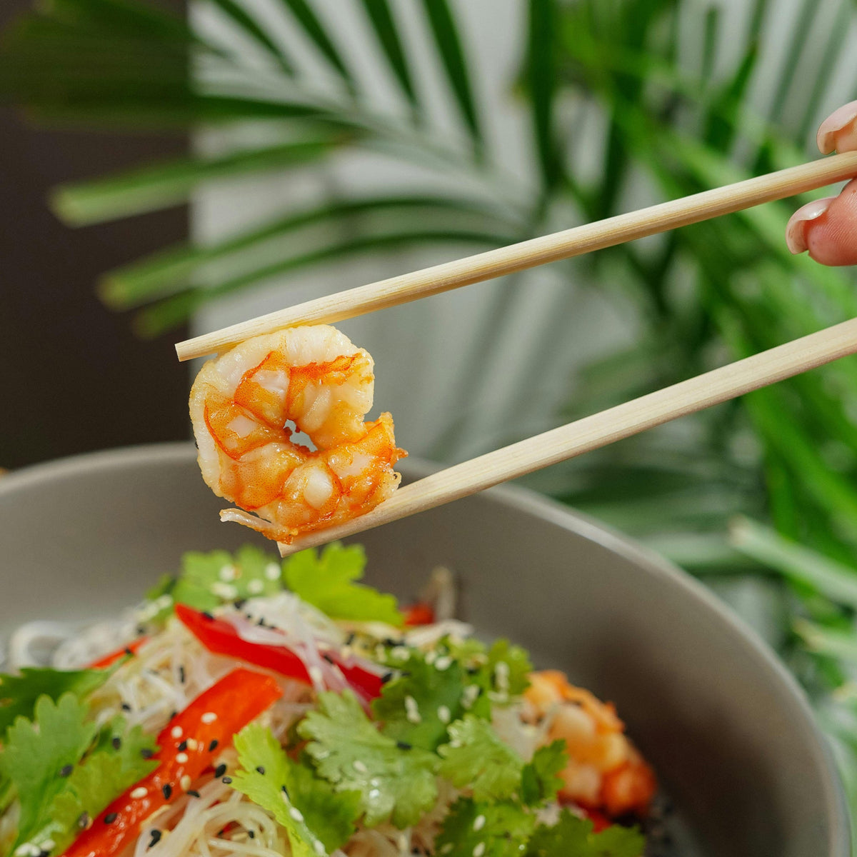 [2,000ct] 8.8" Twin Paper-Wrapped Bamboo Chopsticks-knots - Biocean by Danube BlueBiocean