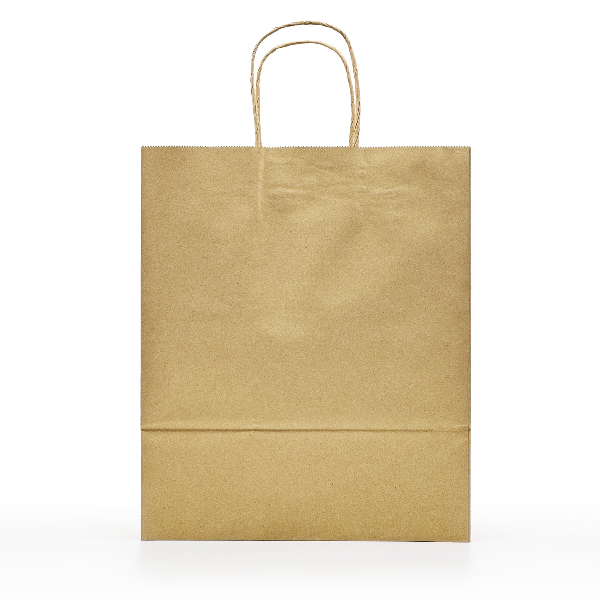 [250ct] 10" x 6.7" x 12" Kraft Paper Customizable Shopping Bags with Handles | Natural - Biocean by Danube BlueBiocean