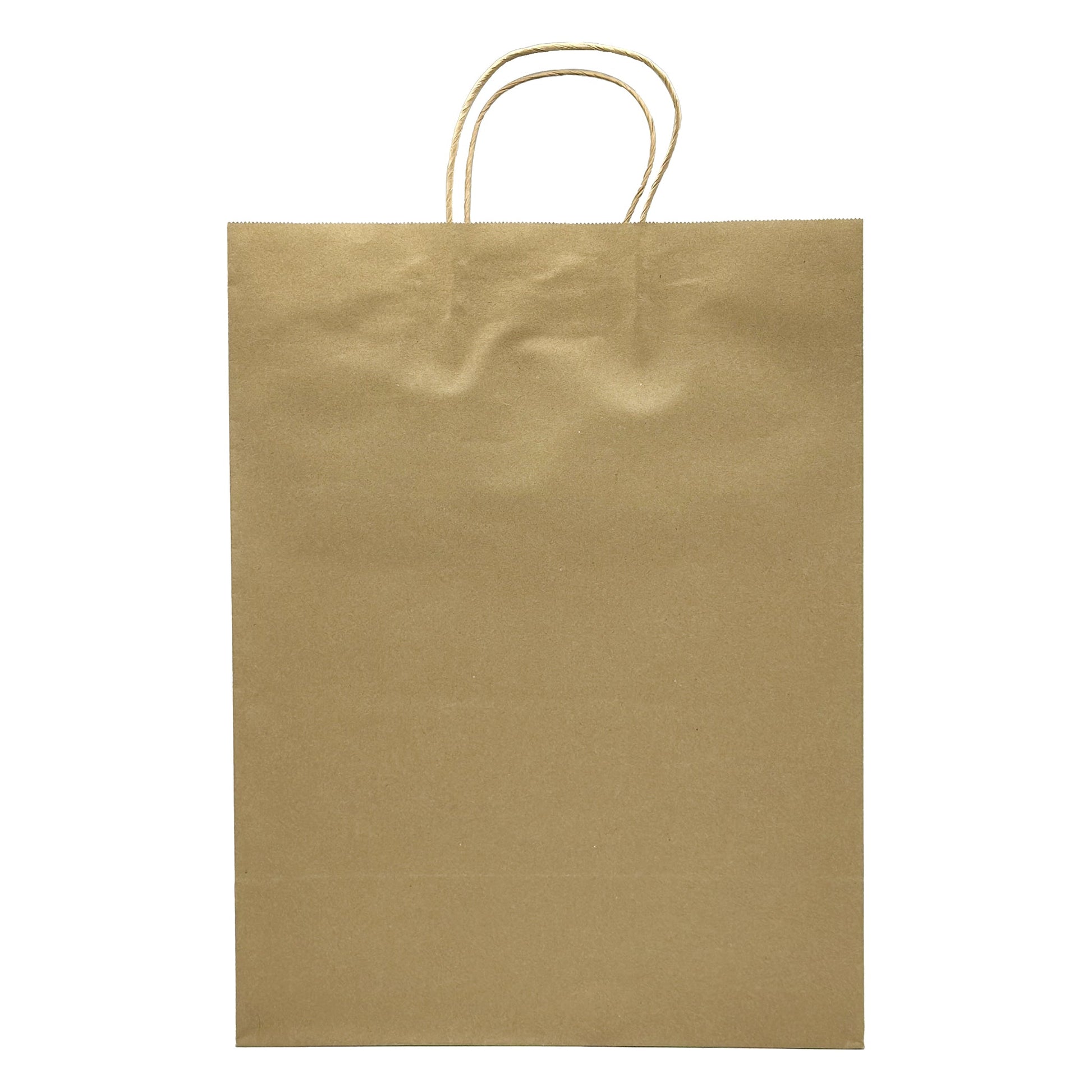 [250ct] 13" x7"x 17" Kraft Paper Customizable Shopping Bags with Handles | Natural - Biocean by Danube BlueBiocean