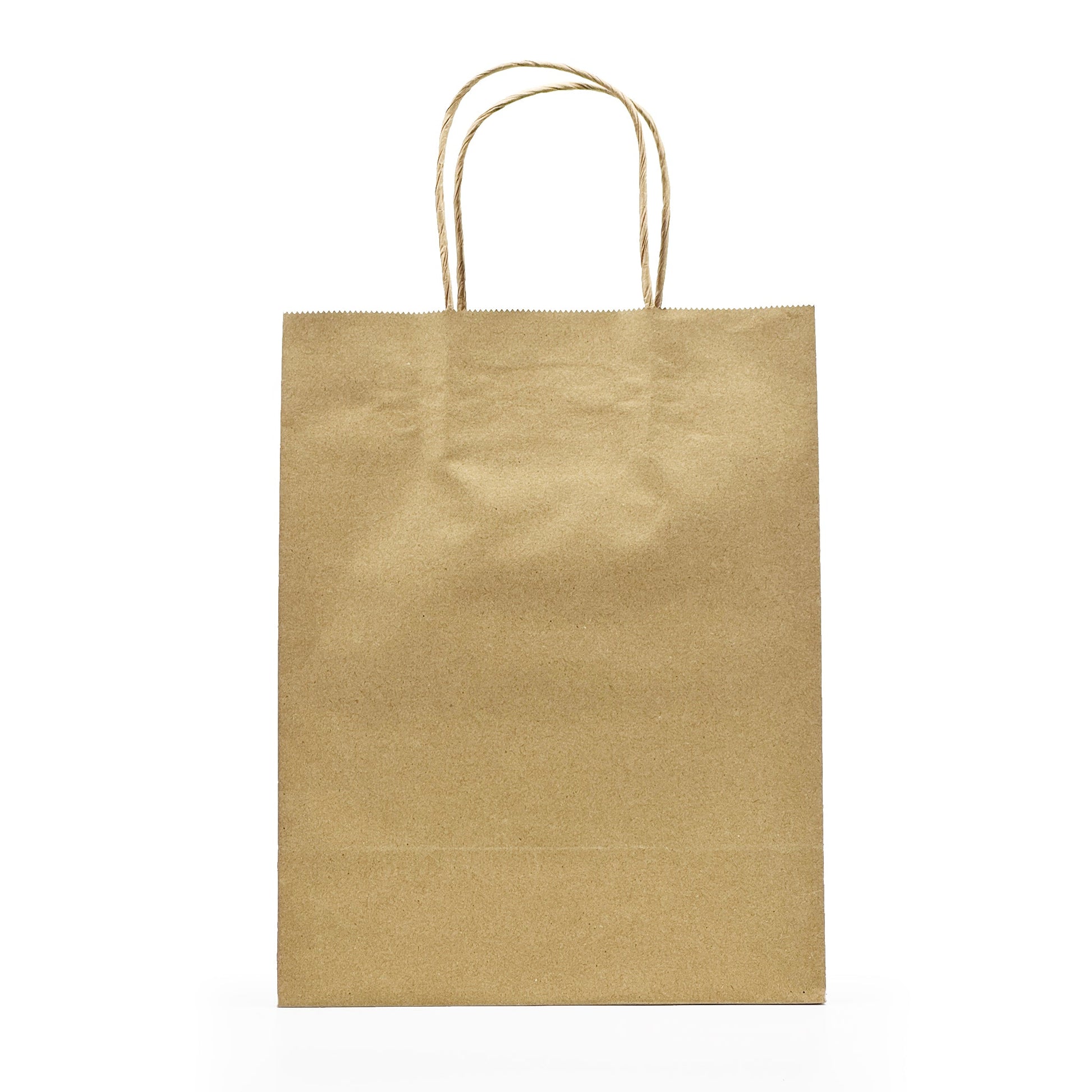 [250ct] 8" x 4.5" x 10" Kraft Paper Customizable Shopping Bags with Handles | Natural - Biocean by Danube BlueBiocean