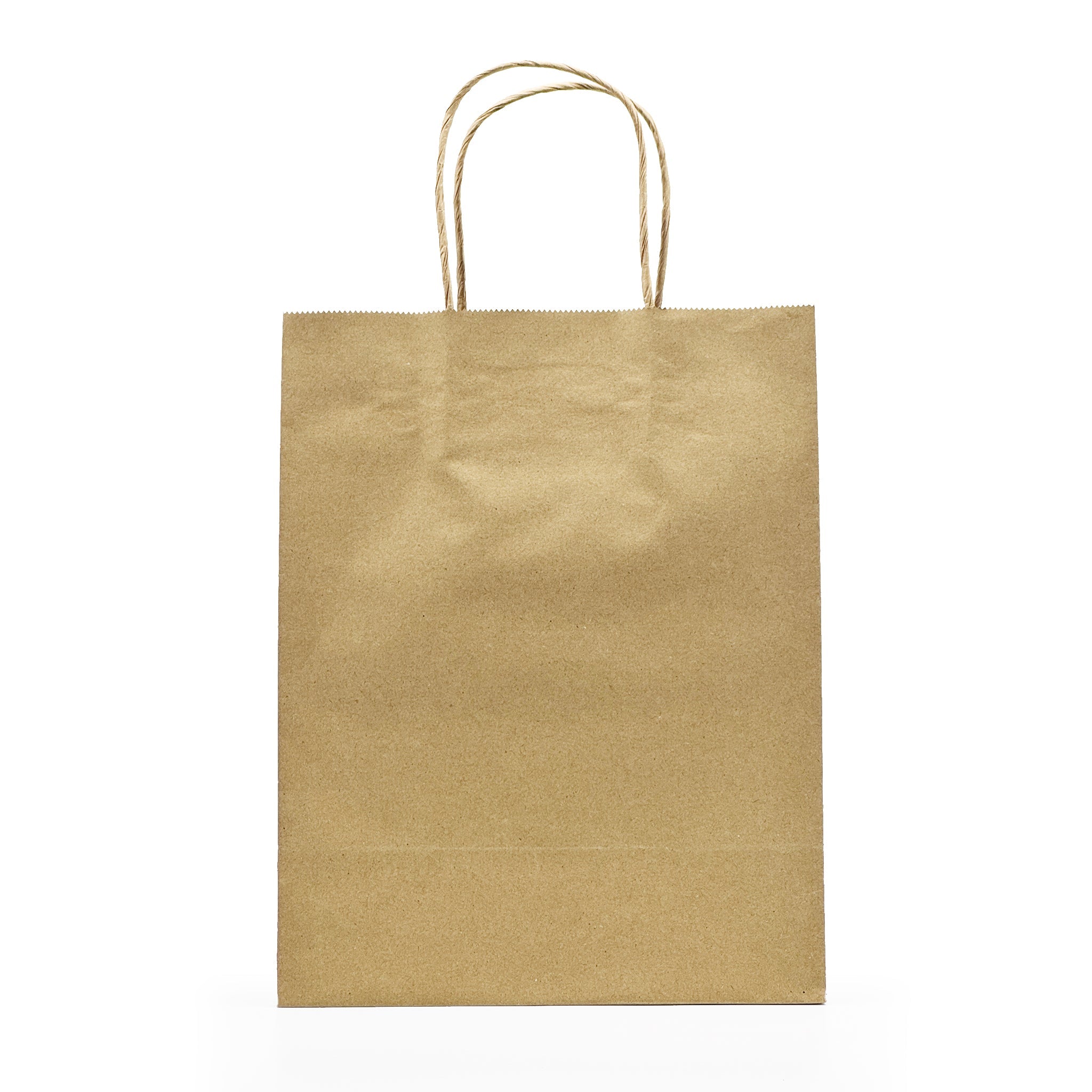 [250ct] 8" x 4.5" x 10" Kraft Paper Customizable Shopping Bags with Handles | Natural - Biocean by Danube BlueBiocean