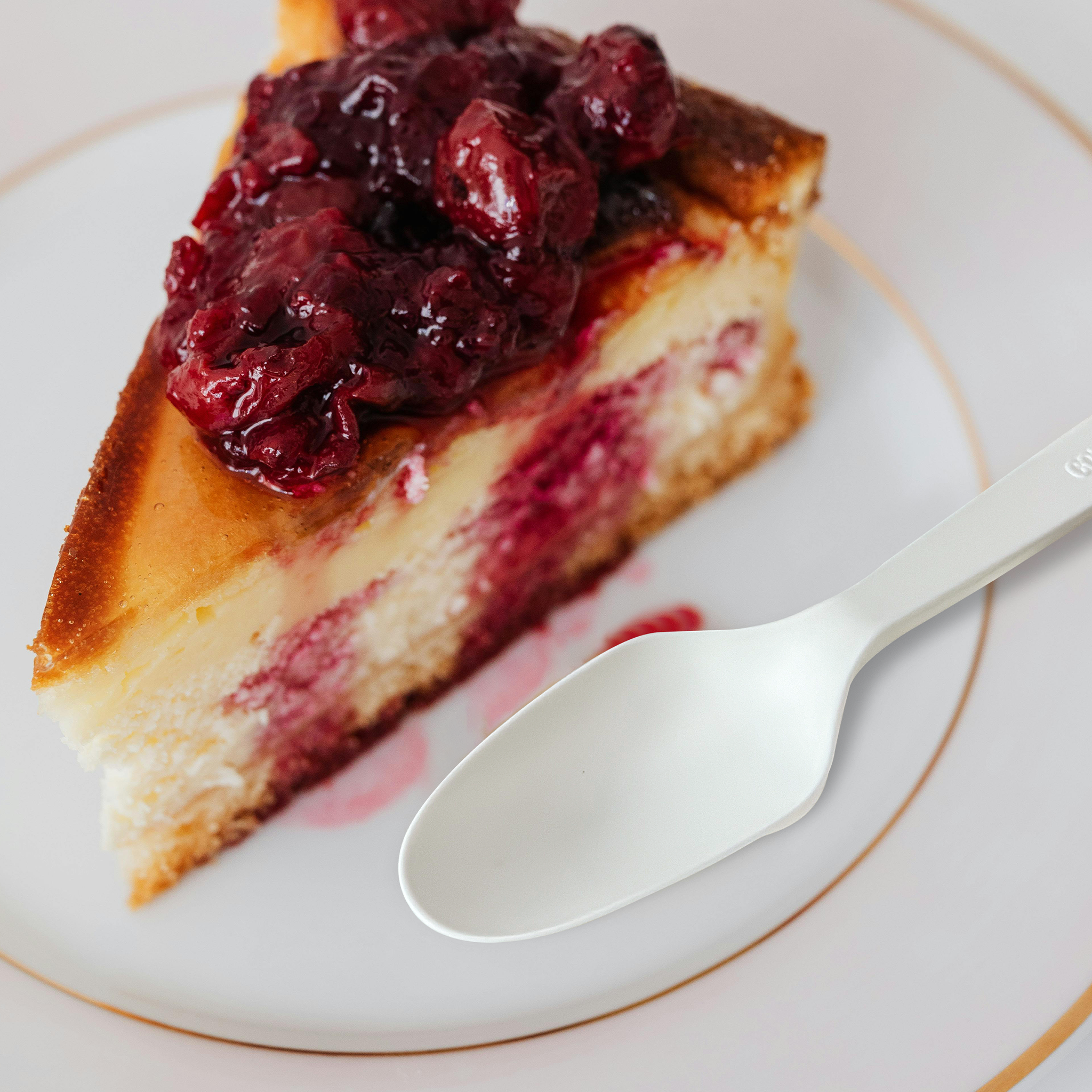 [500ct] PLA Heavy Weight Tea Spoons with a Free Eco Bag | White