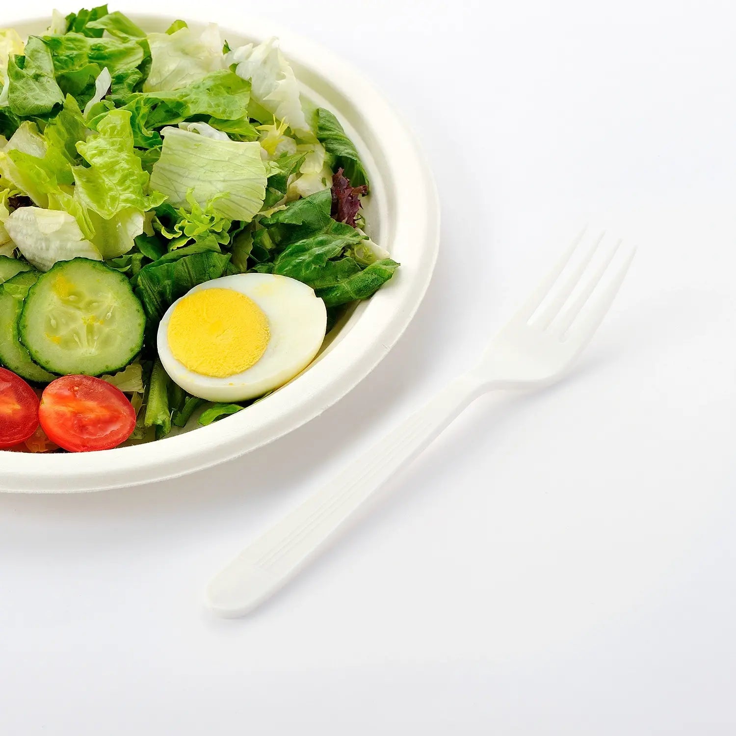 [1,000 ct] PP Plastic Heavy Weight  Forks | White