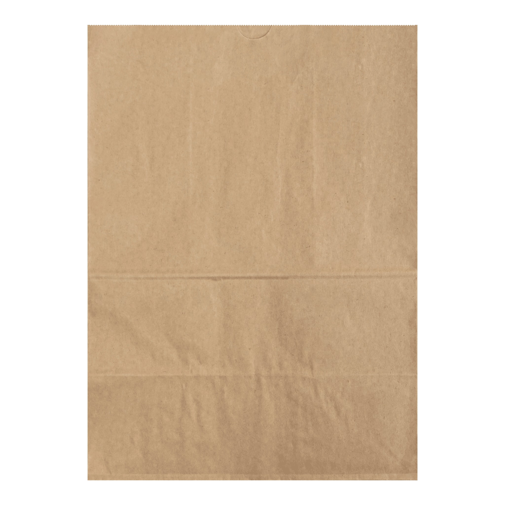 [400ct] 10.24" ×6.54" ×14.17" Kraft Paper Customizable Bag | Natural - Biocean by Danube BlueBiocean