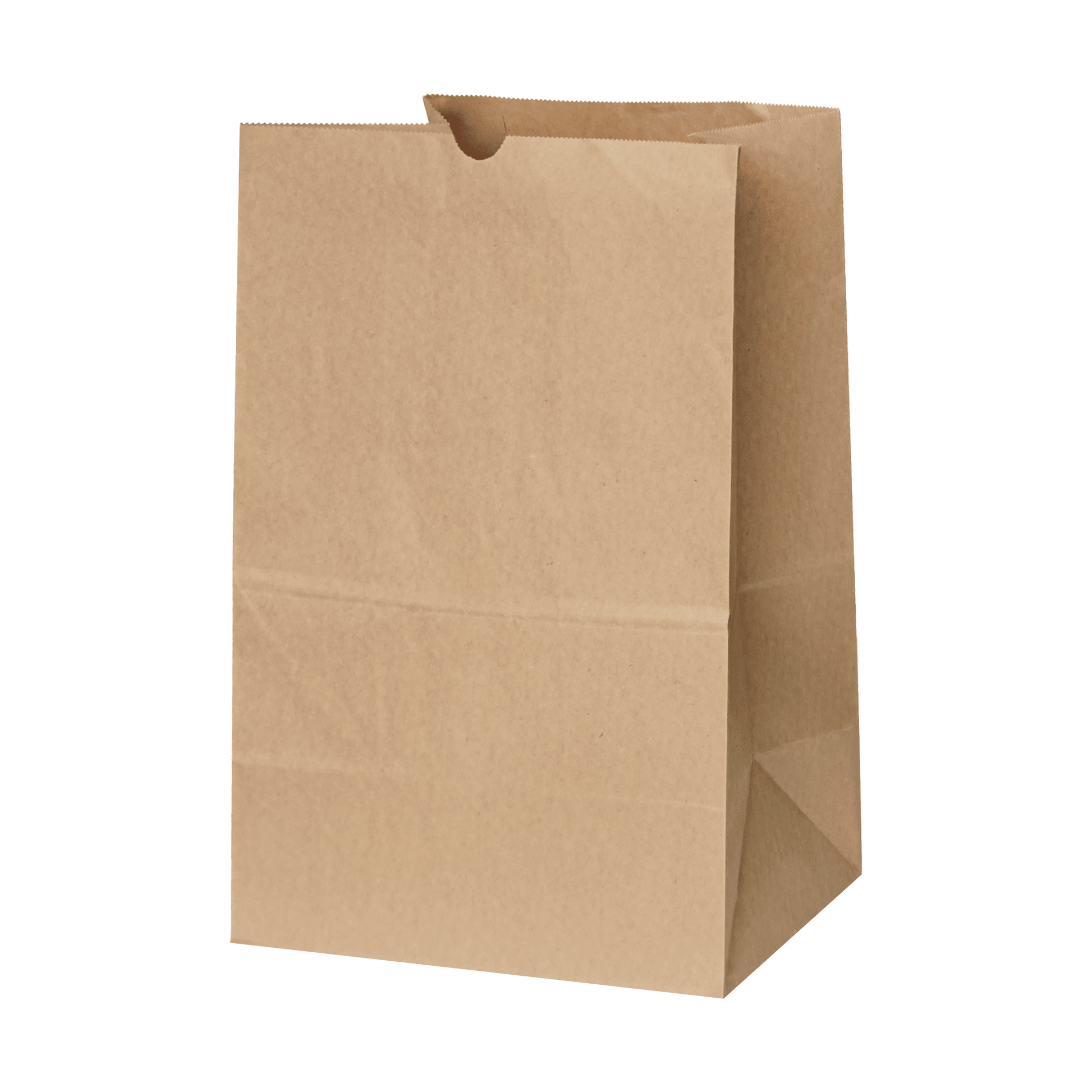 [400ct] 10.24" ×6.54" ×14.17" Kraft Paper Customizable Bag | Natural - Biocean by Danube BlueBiocean