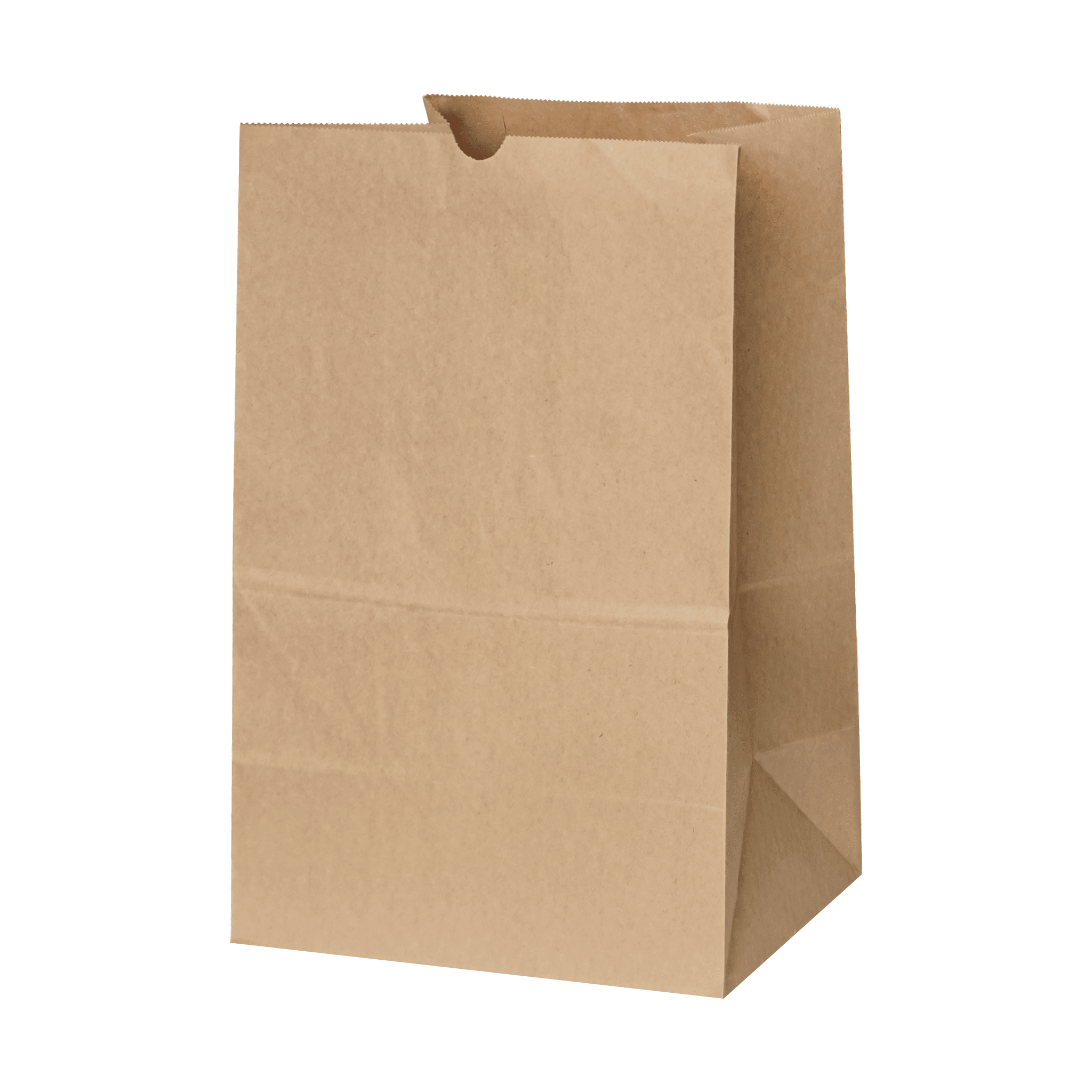 [400ct] 10.24" ×6.54" ×14.17" Kraft Paper Customizable Bag | Natural - Biocean by Danube BlueBiocean
