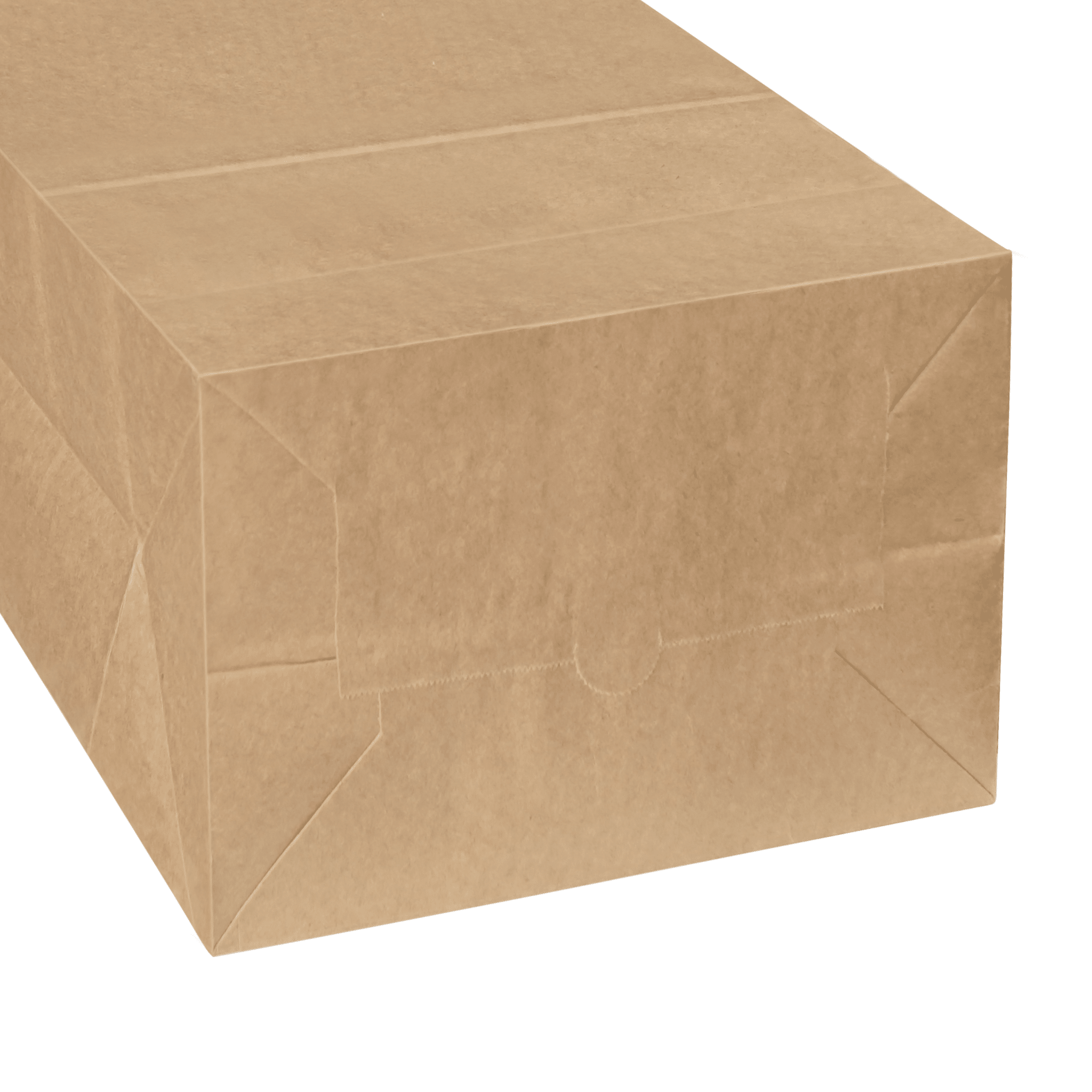 [400ct] 10.24" ×6.54" ×14.17" Kraft Paper Customizable Bag | Natural - Biocean by Danube BlueBiocean