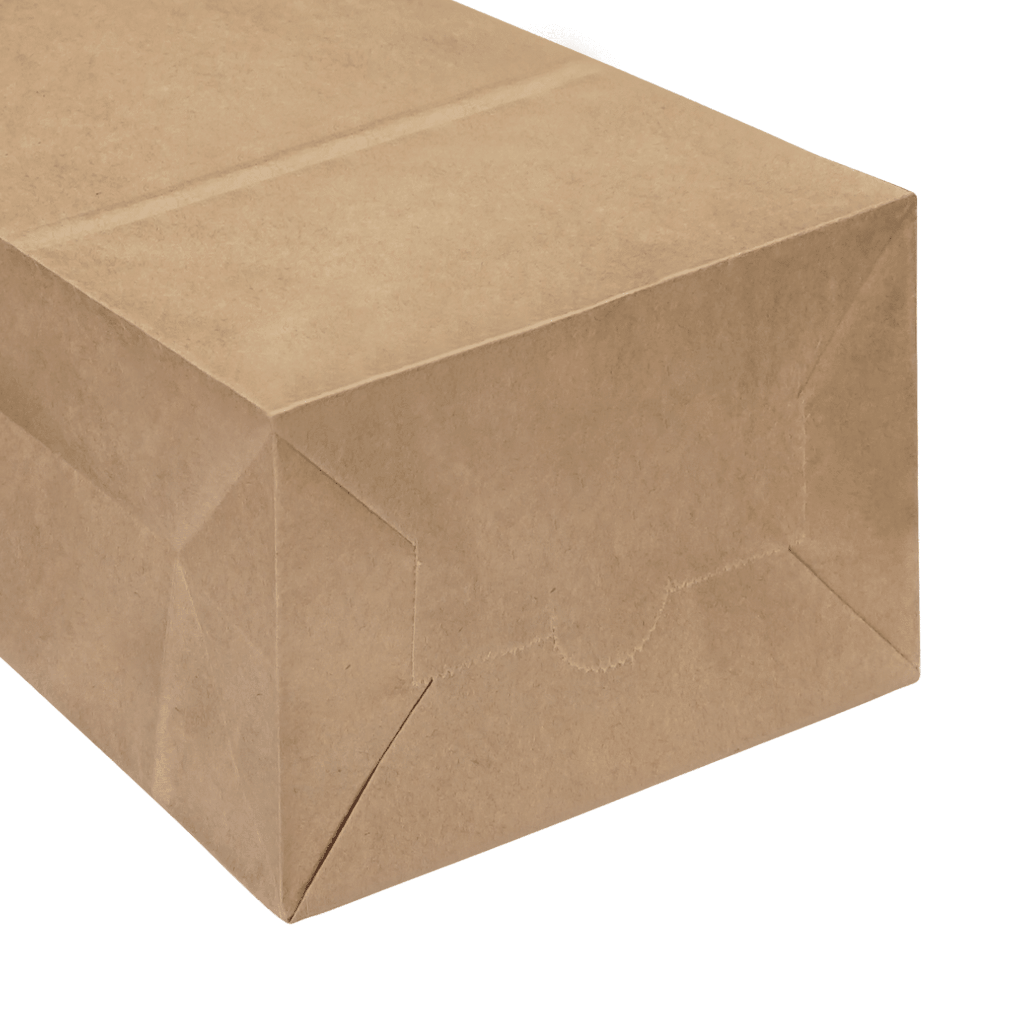 [400ct] 7.68"×4.73" ×15.55" Kraft Paper Customizable Bag | Natural - Biocean by Danube BlueBiocean