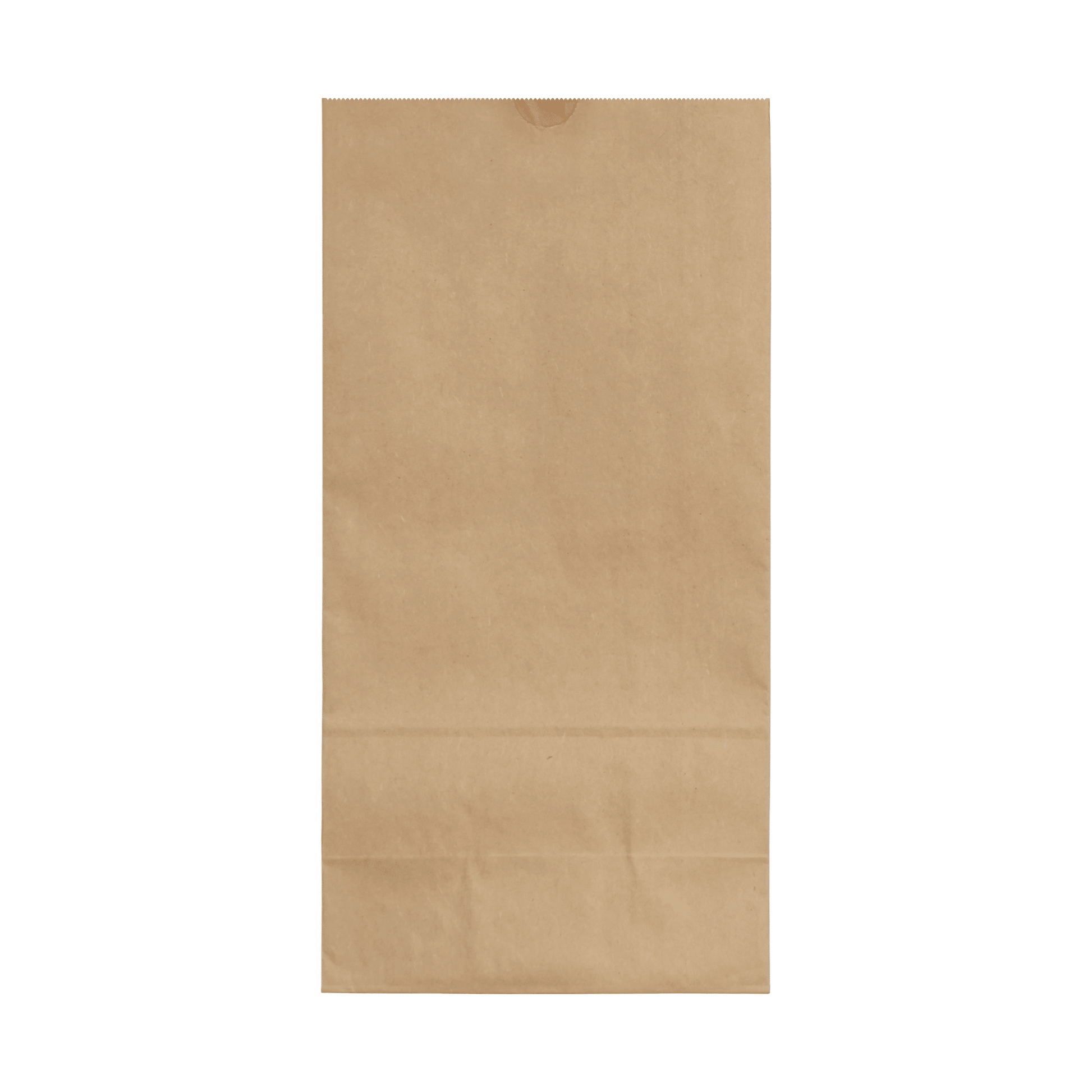 [400ct] 7.68"×4.73" ×15.55" Kraft Paper Customizable Bag | Natural - Biocean by Danube BlueBiocean