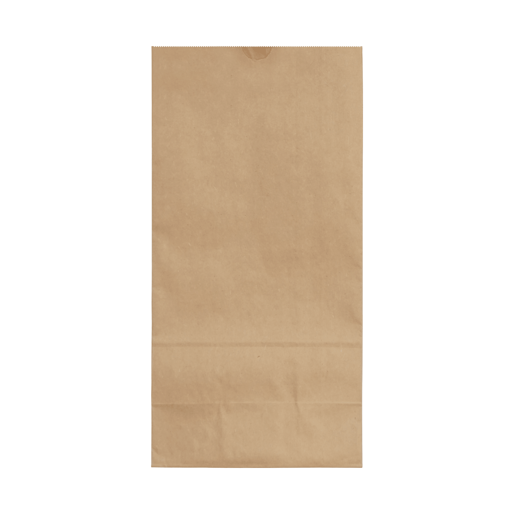 [400ct] 7.68"×4.73" ×15.55" Kraft Paper Customizable Bag | Natural - Biocean by Danube BlueBiocean