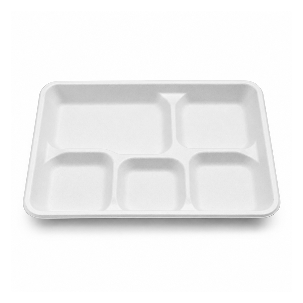 [500ct] 10"x 8" Compostable Bagasse Plates  | 5-compartment |  Rectangular | White