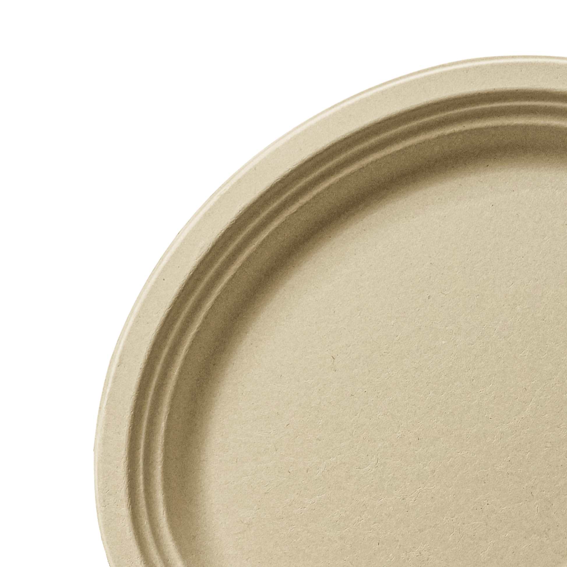 [500ct] 12.5" x 10" Compostable Bagasse Plates | Oval | Natural - Biocean by Danube BlueBiocean
