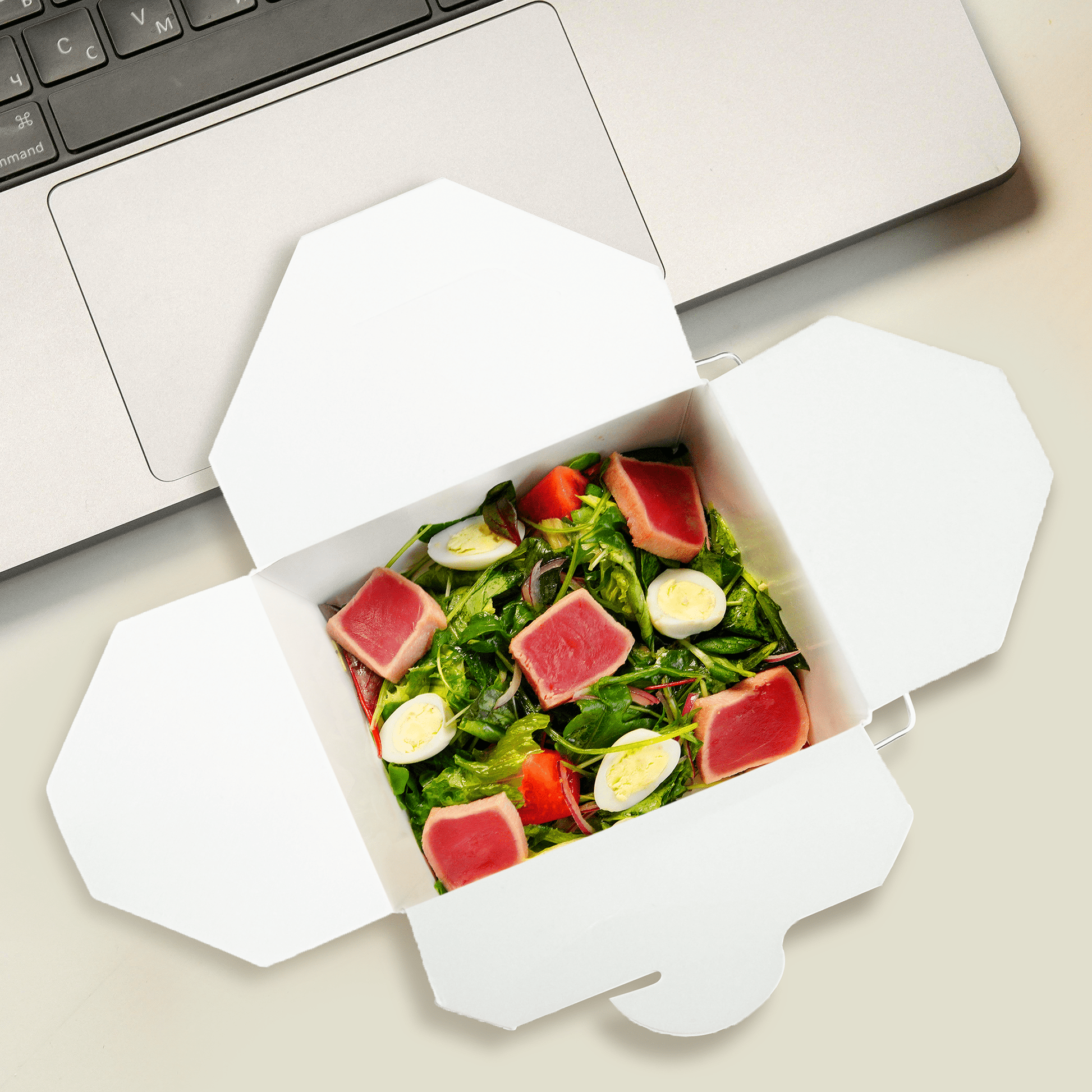 [500ct] 16oz Asian Paper Take - Out Container with Wire Handle | White - Biocean by Danube BlueBiocean