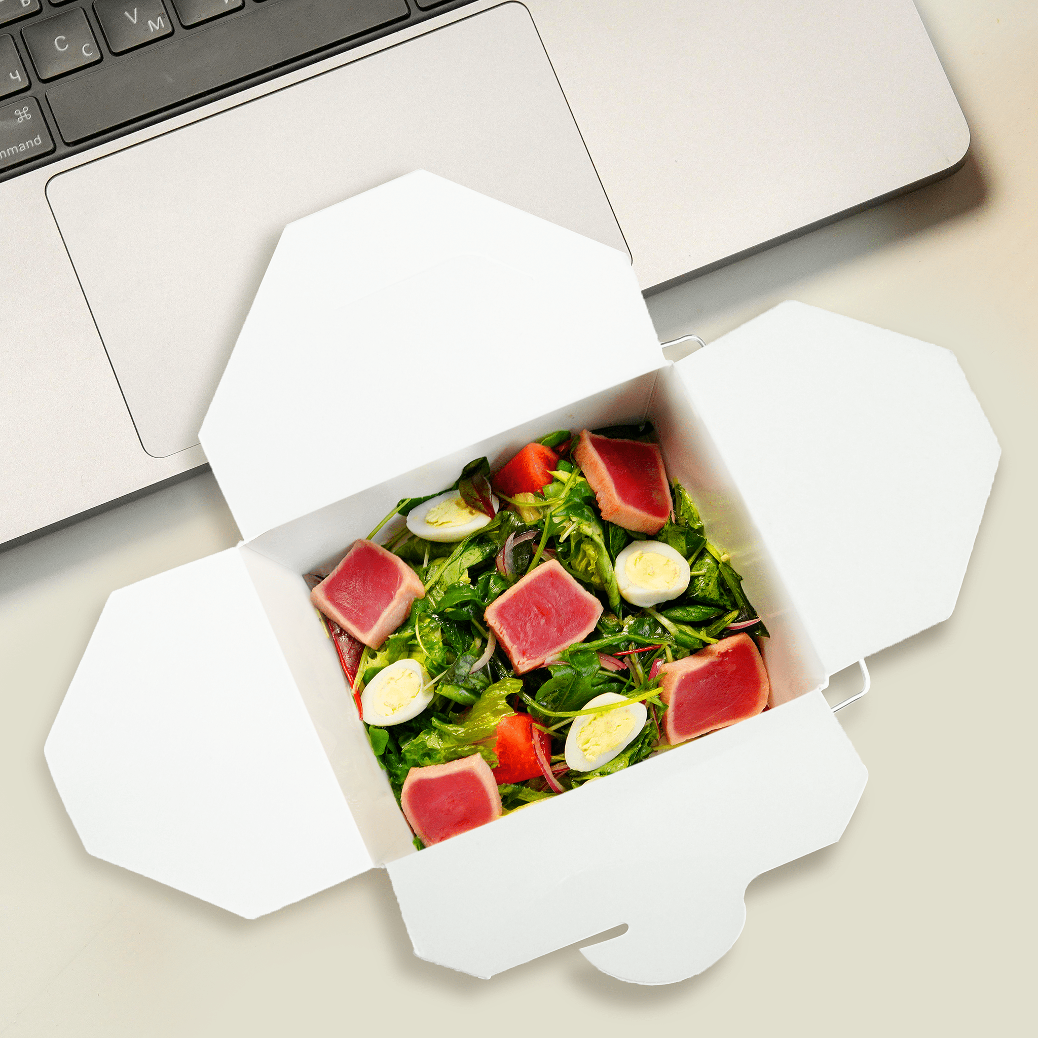 [500ct] 16oz Asian Paper Take - Out Container with Wire Handle | White - Biocean by Danube BlueBiocean