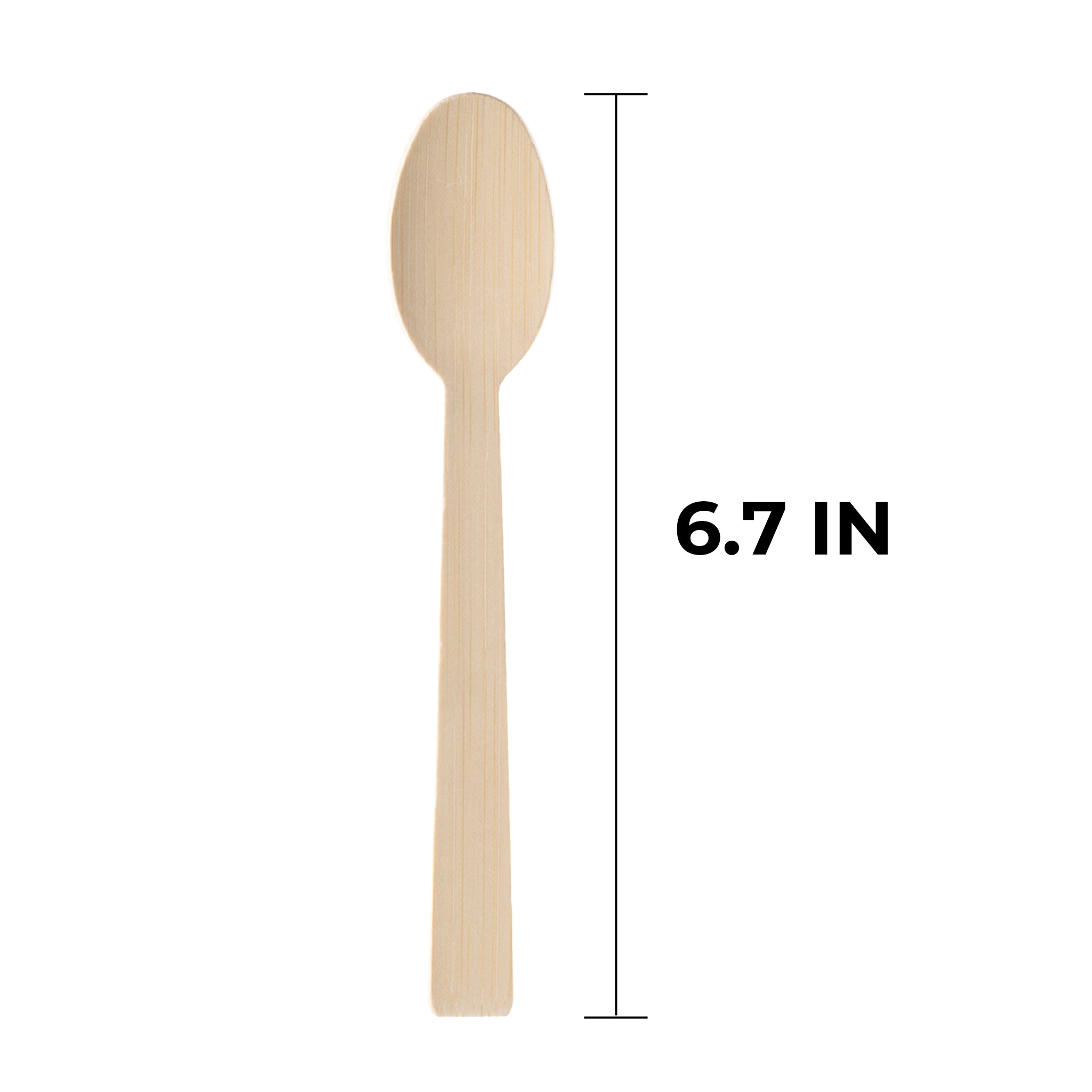 [1,000ct] 6.7" Compostable Bamboo Spoon | Brown
