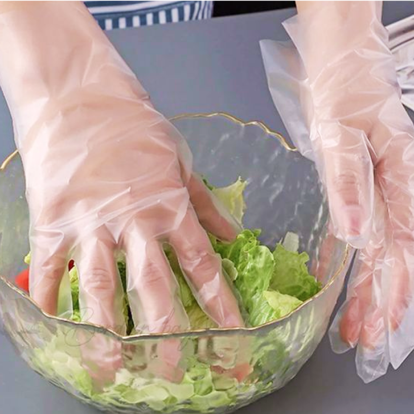Disposable Gloves