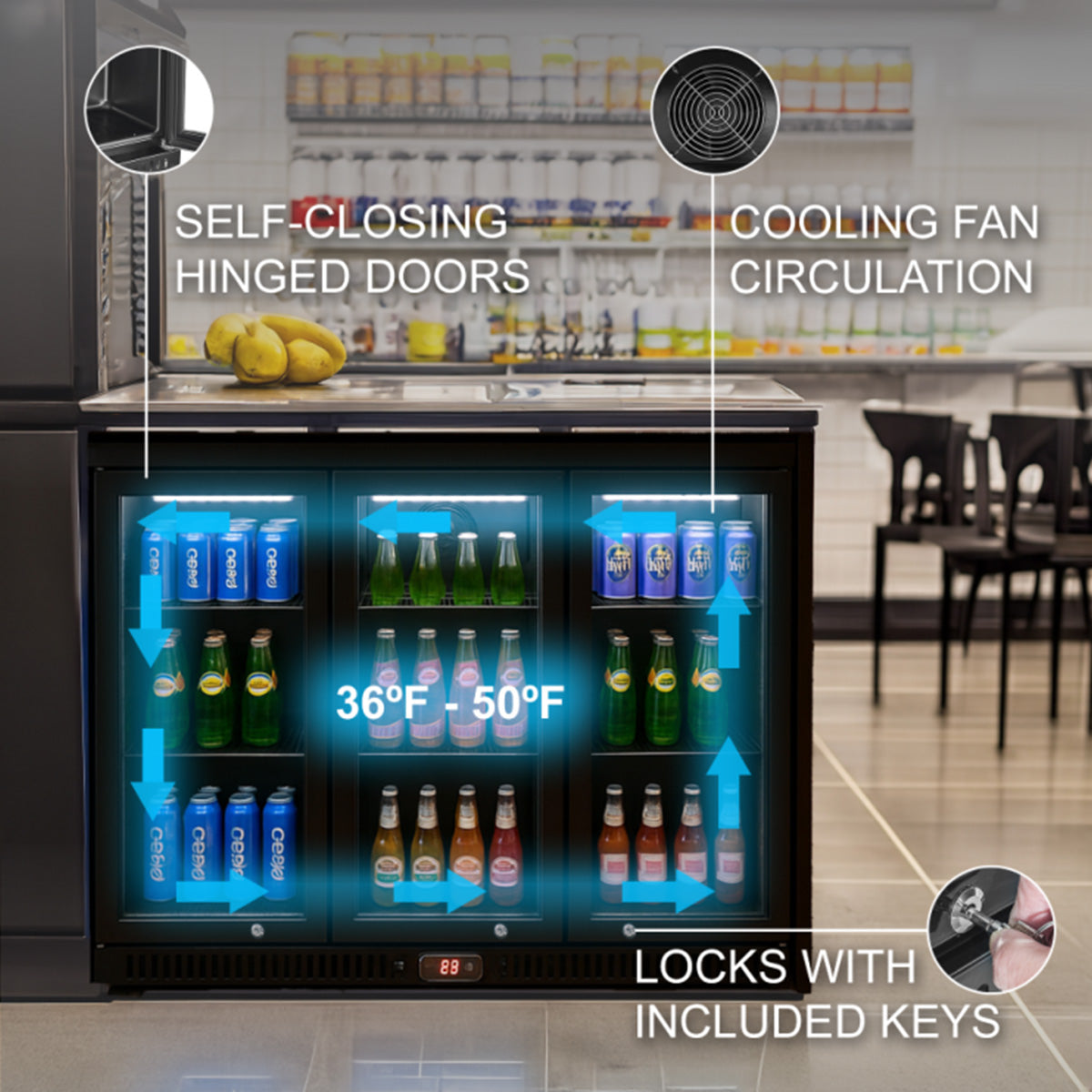 Vitlife Commercial VBBT-338H 53" Back Bar Cooler, 11.6 Cu Ft, Swing Doors