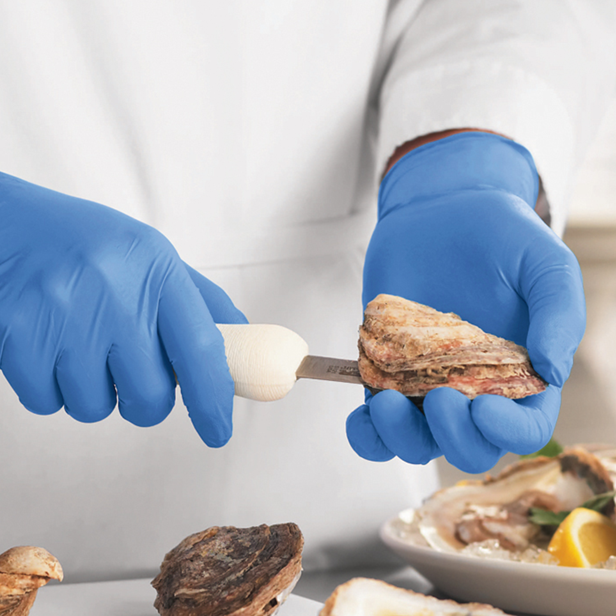 [1,000ct] Powder-Free Nitrile Gloves | X-Large | Blue